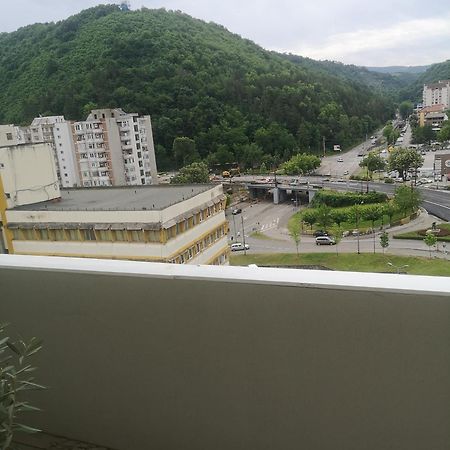 Penthouse Luxury Apartman Resicabánya Kültér fotó